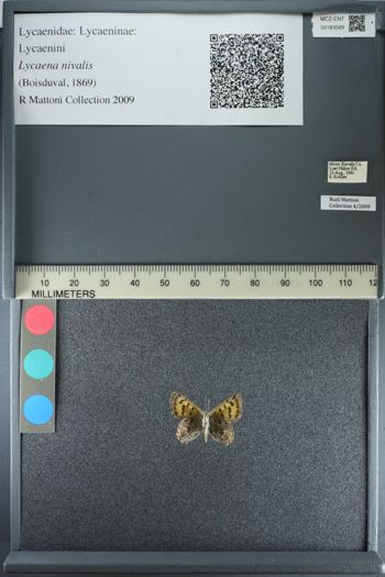 Media type: image;   Entomology 183589